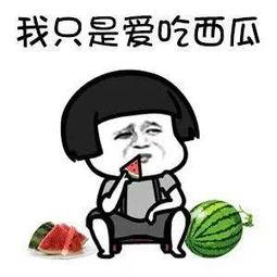 娱乐圈吃瓜的梗叫什么名字,揭秘明星幕后那些事儿